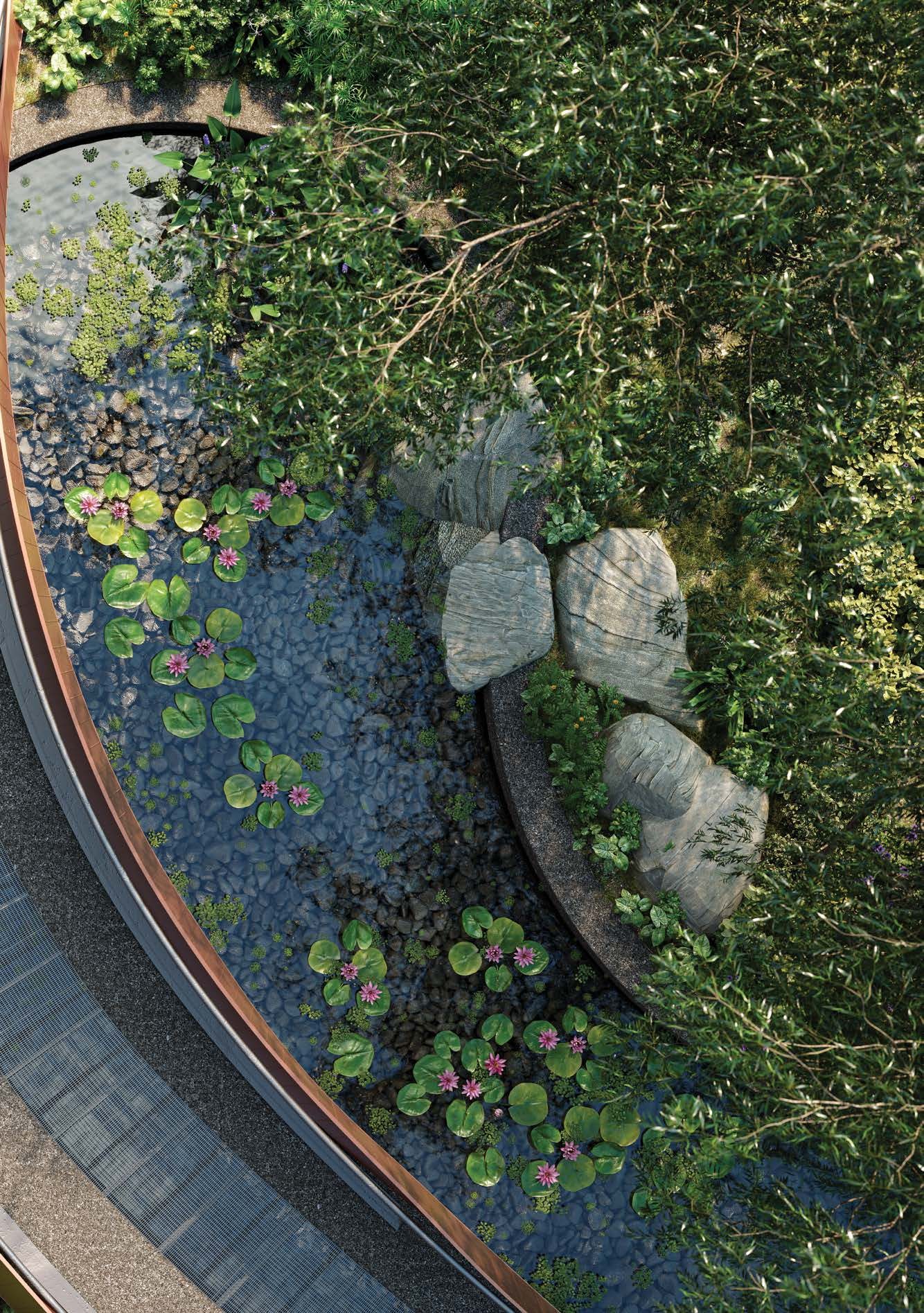 Stream landscape detail