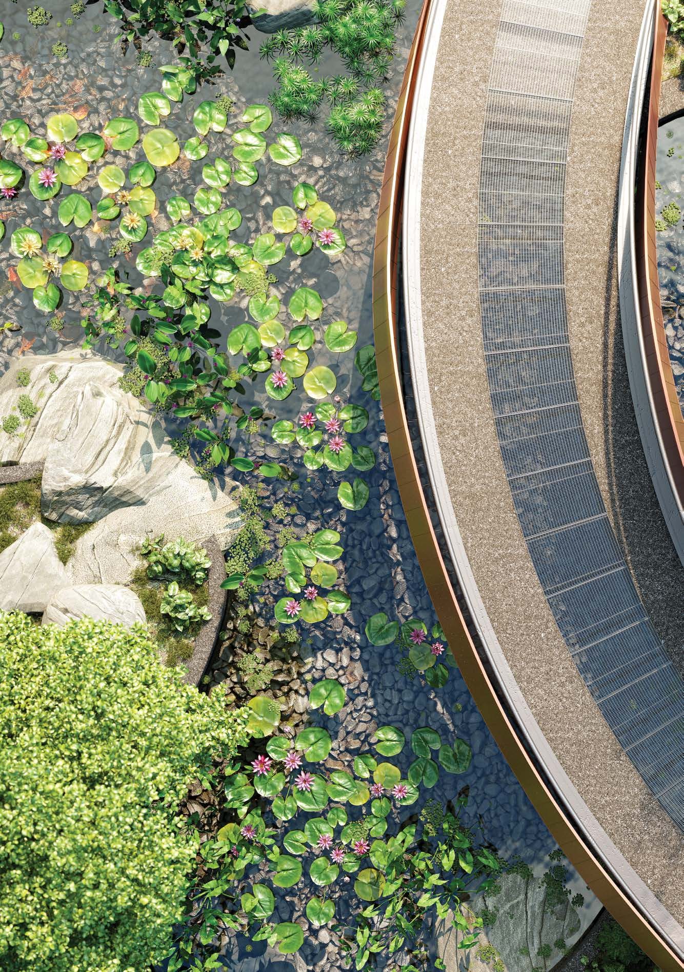 Stream landscape detail